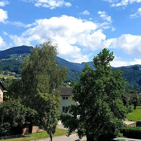 Hotel Löwen Nahe Feldkirch - Günstige Für Firmen, Monteure Und Reisende