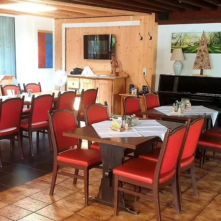 Hotel Pension Loewen Nahe Feldkirch - Guenstige Zimmer Fuer Urlauber, Firmen Und Monteure Hotel Sulz (Feldkirch)
