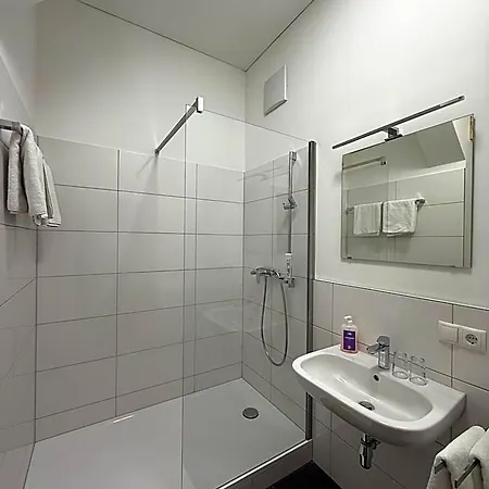 Löwen Nahe Feldkirch - Günstige Für Firmen, Monteure Und Reisende * Sulz (Feldkirch)